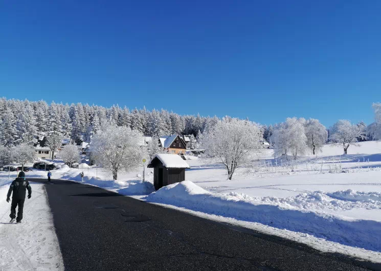 Ferienwohnung Freiberger Weg 3 in Holzhau Oberdorf